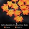 Perfect Holiday 20 LED MICRODOT MAPLE LEAF STRING LIGHTS, WARM WHITE,TOTAL LENGTH 2.2M, LEAD WIRE 30CM